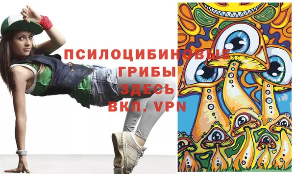 2c-b Балахна