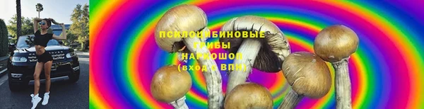 PSILOCYBIN Заволжск