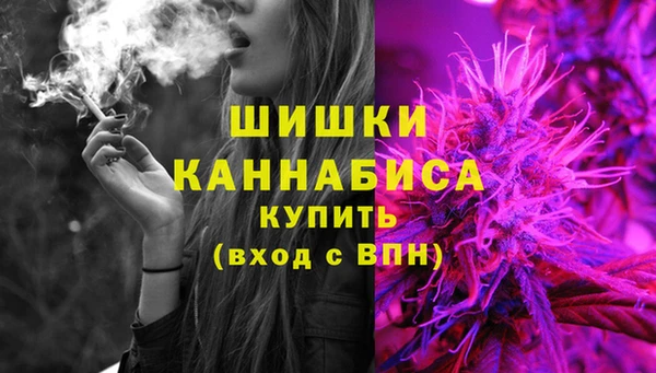 кокс Арсеньев