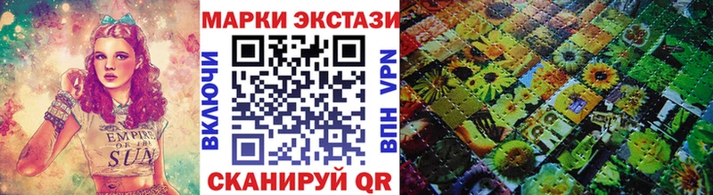 Наркотические марки 1500мкг  mega как зайти  Елизово 
