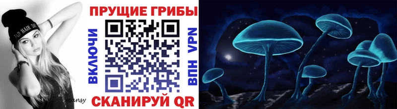 площадка как зайти  Елизово  ссылка на мегу маркетплейс  Галлюциногенные грибы Psilocybe  продажа наркотиков 
