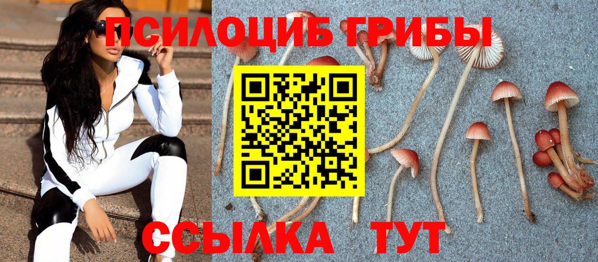 Галлюциногенные грибы мухоморы Елизово