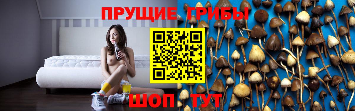 Елизово  Галлюциногенные грибы Magic Shrooms  Вход с VPN 